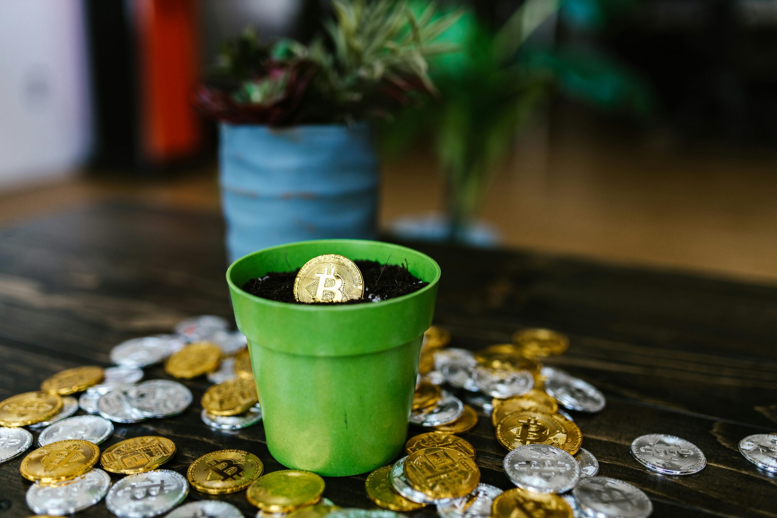 Complete Guide to Bitcoin in 2024 What You Need to Know